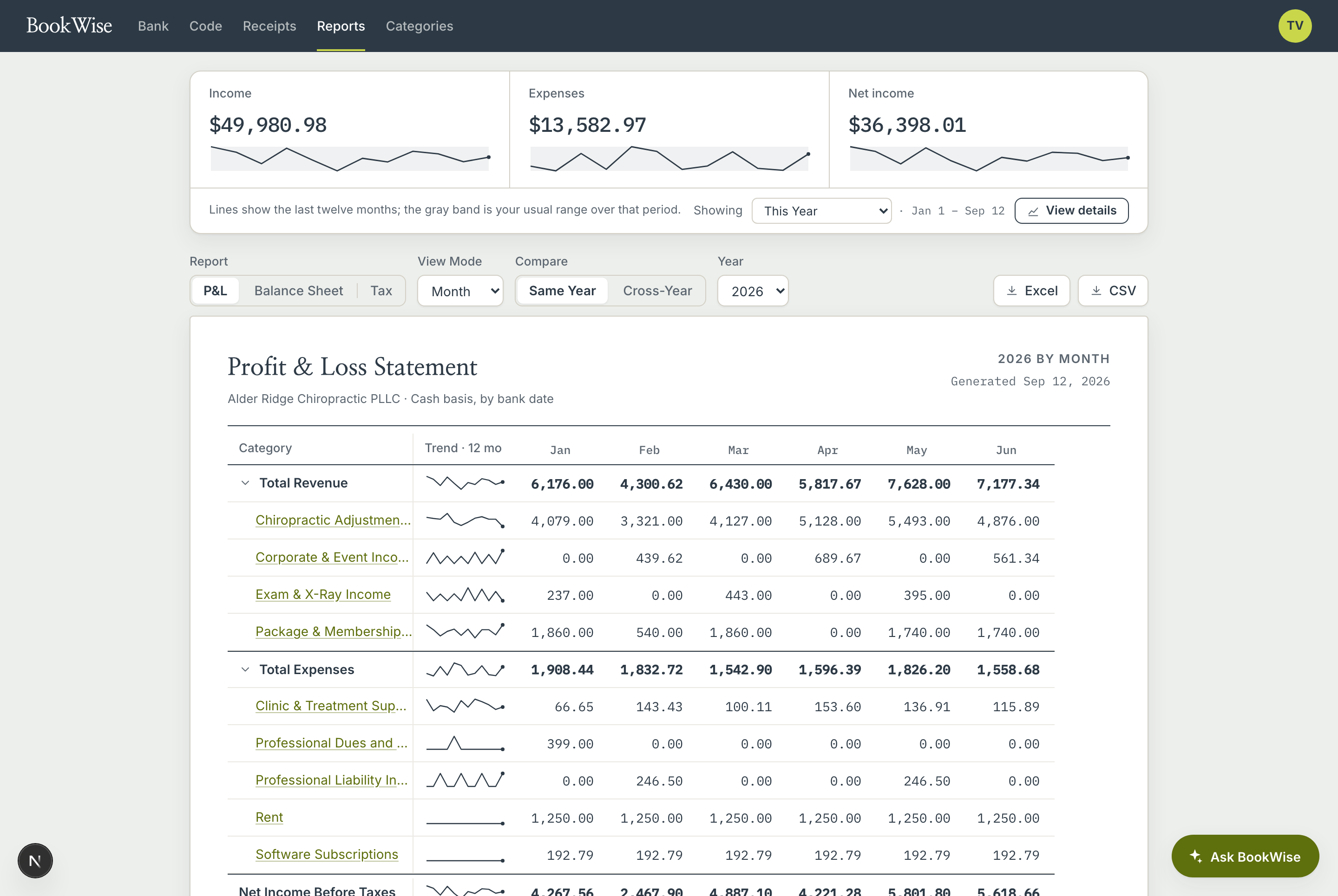 BookWise Financial Summary showing revenue and expense categories month by month across a sample chiropractic practice