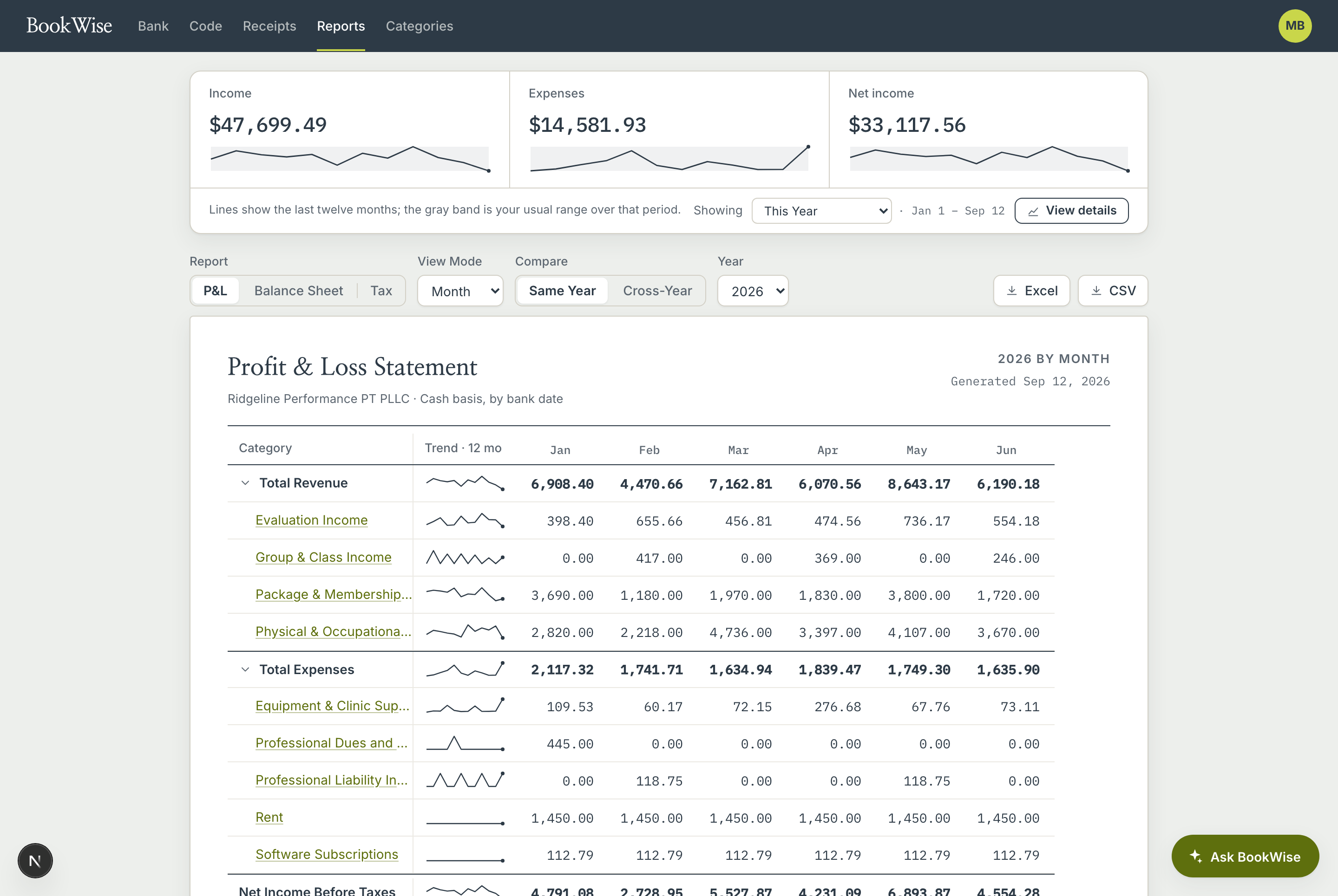 BookWise Financial Summary showing revenue and expense categories month by month across a sample physical therapy practice