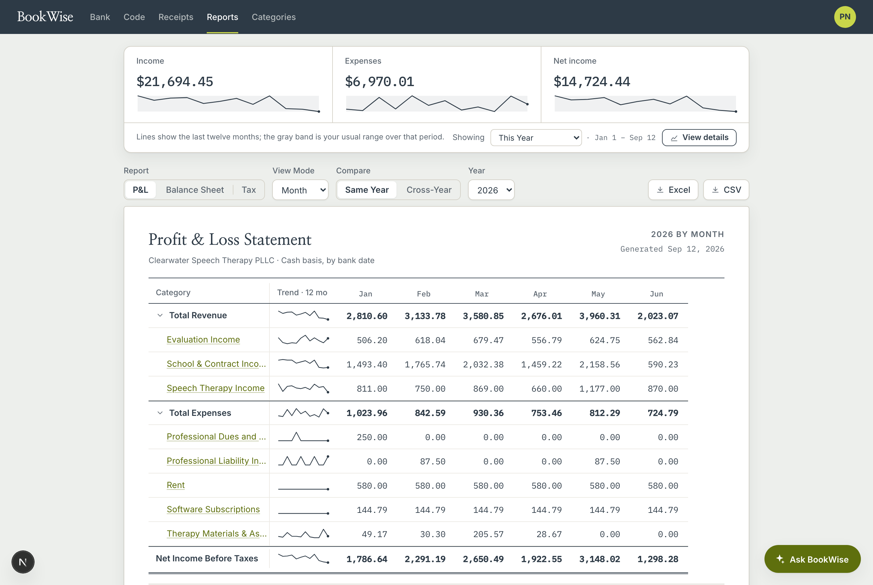 BookWise Financial Summary showing revenue and expense categories month by month across a sample speech therapy practice